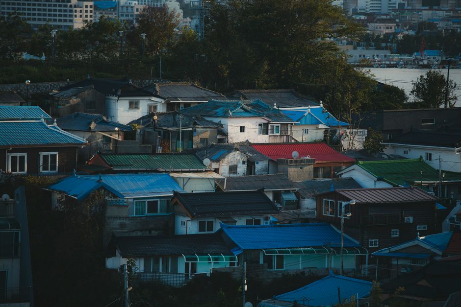 섹션 이미지